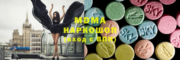 молекула духа Богданович